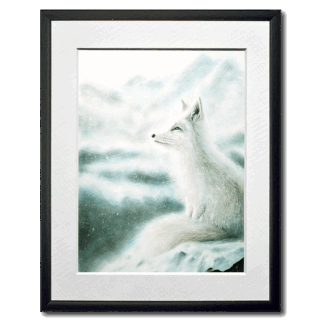graphite drawing of arctic fox