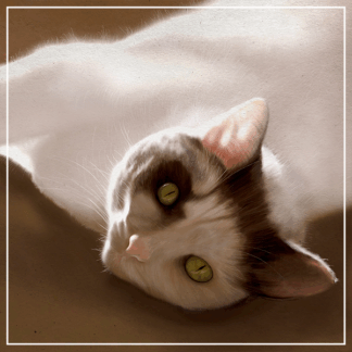PET PORTRAITS