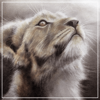 WILDLIFE FINE ART